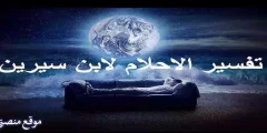 أشمل 12 تفسير رؤية السمك في المنام للمتزوجة والعزباء والرجل