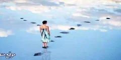 أقوى 12 تفسير حلم الملفوف المطبوخ في المنام
