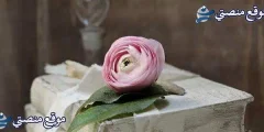 أقوى كلام جميل قبل نهاية السنة للاصدقاء 2025