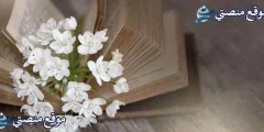 أقوى عبارات انجليزية قصيرة مترجمة عميقة 2025