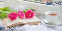 عبارات حب راقية للحبيب أجمل عبارات عن حبيبي قصيرة 2025