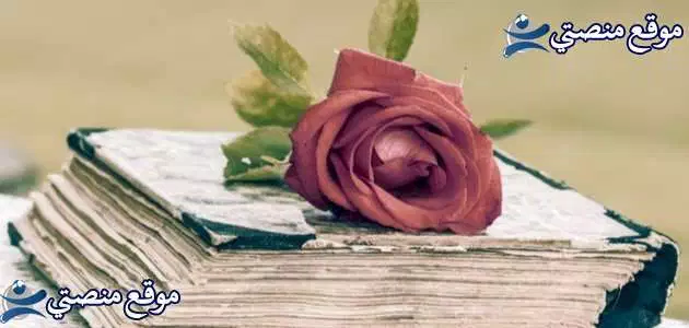عبارات حب وعشق مزخرفة أقوى عبارات حب مزخرفة للواتس