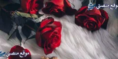 كلام جميل بالانجليزي مترجم أجمل عبارات انجليزية مترجمة عن الحياة 2025