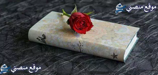 عبارات ايطالية مترجمة للعربية أفضل عبارات عن الحب بالايطالية