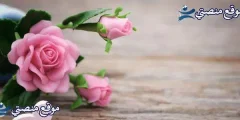 عبارات صباح الخير جميلة أقوى عبارات صباحية قصيرة 2025