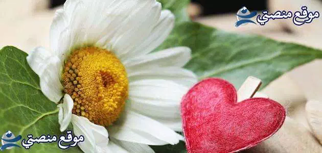 عبارات عن الام للواتس اب أفضل حالات واتس اب عن الام والأب