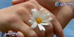 كلام حب بالانجليزي طويل وقصير أقوى عبارات حب بالانجليزي مع الترجمة 2025