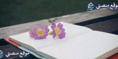 كلمات اعتذار للحبيب الزعلان أجمل رسالة اعتذار للحبيب قوية 2025