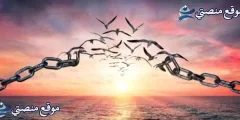 كلمات عن الوطن قصيرة أجمل كلمات مؤثرة عن الوطن 2025