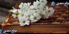 كلمات مدح الجمال بالانجليزي أجمل كلمات مدح بالانجليزي مترجمة 2025