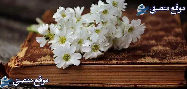 كلمات مدح الجمال بالانجليزي أجمل كلمات مدح بالانجليزي مترجمة