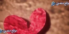 عبارات بالانجليزية عن الحب أفضل عبارات انجليزية مترجمة قصيرة 2025