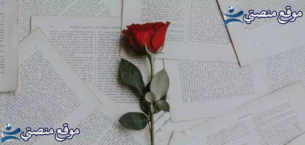 عبارات عن حب الام لابنتها أجمل عبارات من الام لابنتها