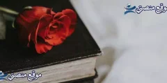 عبارات لطيفة بالانجليزي 10 عبارات عن يوم جميل بالانجليزي 2025