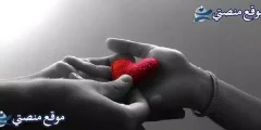عبارات للصديقات قصيرة أقوى كلام عن صديقتي الغالية 2025