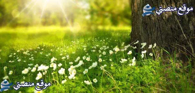 بوستات حزينه عن الاهل أجمل بوستات عن قسوة الاهل