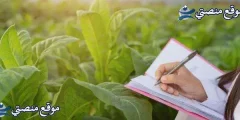 أقوى 10 بوستات عيد ميلاد أختي وصحبتي مكتوبة 2025