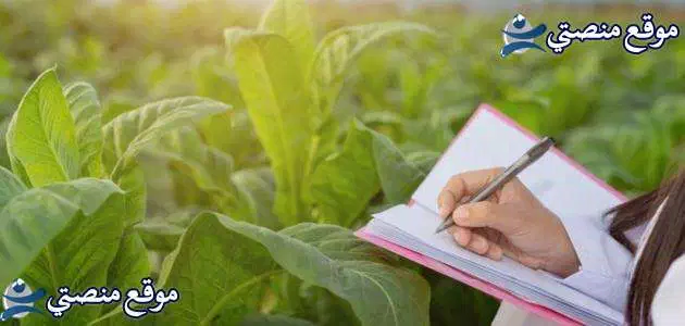 بوستات عيد ميلاد أختي وصحبتي مكتوبة