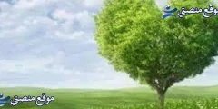 حكم ومواعظ في الحياة قصيرة أقوى 10 حكم ومواعظ في الحب 2025
