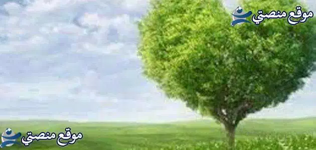 حكم ومواعظ في الحياة قصيرة أقوى 10 حكم ومواعظ في الحب