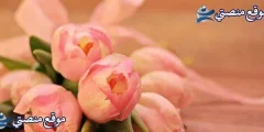 عبارات حب بالانجليزي قصيرة أقوى عبارات غزل بالانجليزي 2025