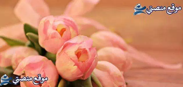 عبارات حب بالانجليزي قصيرة أقوى عبارات غزل بالانجليزي