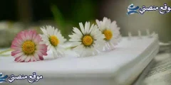كلام جميل عن الأطفال الحلوين أفضل كلمات جميلة عن الطفولة البريئة 2025