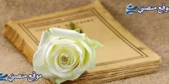 كلام عن الكرم والطيب أجمل كلام عن الكرم وحسن الضيافة 2025