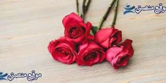 أقوى 10 مقولات جبران خليل جبران عن الحياة والحب 2025